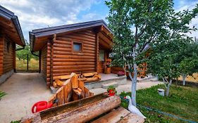 Holiday bungalows&food Plav