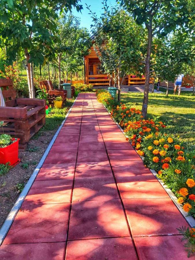 Holiday bungalows&food Plav Exterior foto