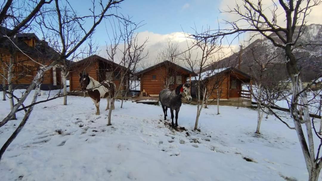 Holiday bungalows&food Plav Exterior foto
